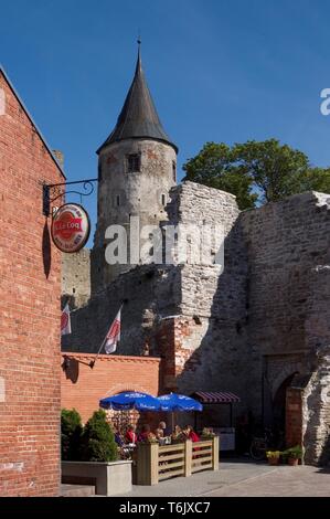 Ruines du château de Haapsalu Banque D'Images