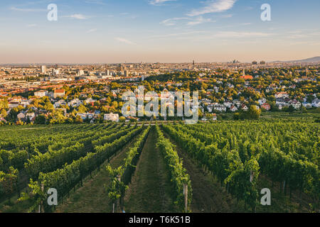 Voir à partir de vignes plus de Nussdorf à Vienne Banque D'Images