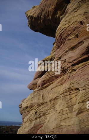 Caiplie Grottes, soulevées plage mer falaise de grès carbonifères colorés Géologie touchés par Lisengang les bandes et les grottes. D'Anstruther, Fife, au Royaume-Uni. Banque D'Images