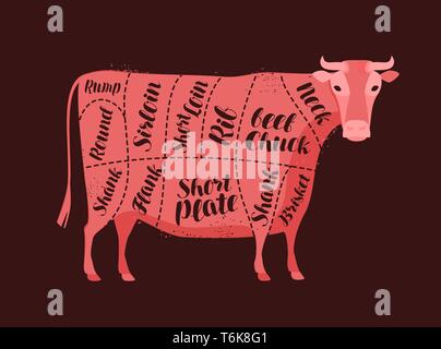 Schéma de la vache pour le boucher. Boucherie, viande de boeuf, vector illustration Illustration de Vecteur