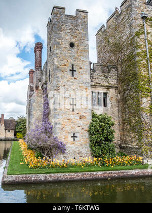 Wistaria colorés sur des murs du château de Hever dans le Kent près de Edenbridge, maison ancestrale d'Anne Boleyn, seconde épouse du roi Henri VIII Banque D'Images