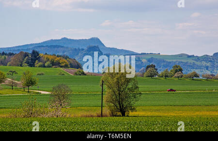 Vue de l'Hohenstoffeln dans l'Hegau, Bade-Wurtemberg Banque D'Images