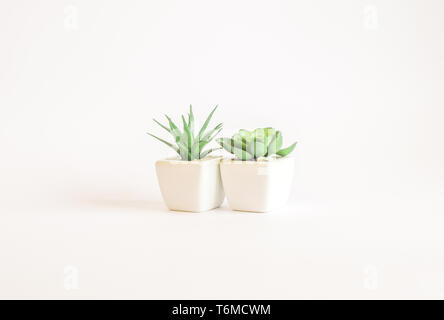 Deux des plantes en plastique dans un vase isolé sur fond blanc Banque D'Images