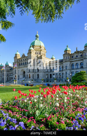 Tulip bed, Assemblée législative de la Colombie-Britannique, Victoria, Colombie-Britannique, Canada Banque D'Images