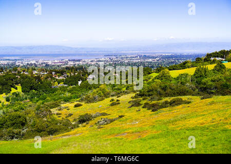 Vue de Redwood City et Menlo Park, collines et vallées couvertes dans l'herbe verte et de fleurs des champs visibles dans l'avant-plan, Silicon Valley, San Fran Banque D'Images