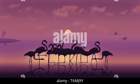 La Floride est énoncée dans les jambes d'une volée de flamants debout dans l'eau peu profonde au coucher du soleil dans cette illustration à propos de tropical en Floride, aux États-Unis. Banque D'Images
