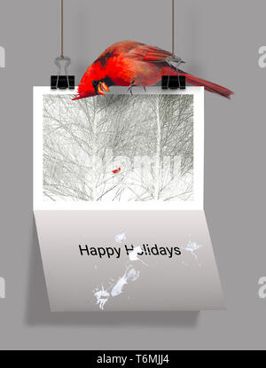 Bah blague ! Voici une illustration pour les gens qui n'aiment pas la saison de vacances. Un cardinal rouge se trouve au-dessus de la carte de Noël qui dispose d'un cardinal Banque D'Images