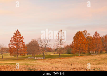 Coucher du soleil et l'automne couleurs se mélangent au fil des Highlands Golf Center à St Louis Forest Park, doté d''arbres de cyprès chauve et cirrus. Banque D'Images