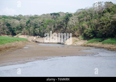 Paysage de la rivière Chagres durant la saison sèche 2019. Une grave sécheresse touche la rivière. Banque D'Images