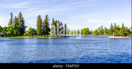 Grand bois rouge des arbres sur la rive du lac Ellis, Marysville, Yuba County, Californie Banque D'Images