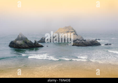 Sutro Baths ont été un grand public privé, piscine d'eau complexe dans la région de Lands End Banque D'Images