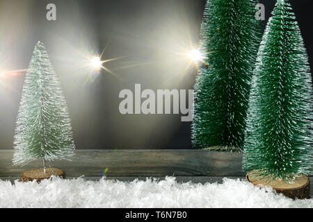 Décoration de Noël avec sapins et les reflets Banque D'Images