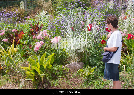 Femme demande un beau jardin avec des fleurs Banque D'Images