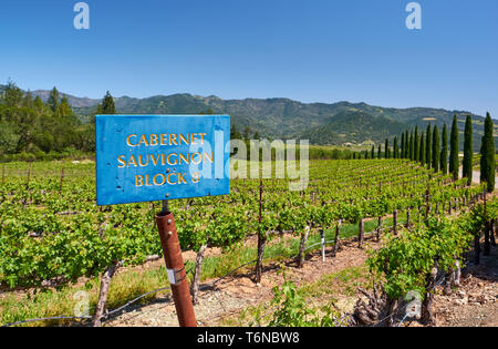 Cabernet Sauvignon cépage sign in vineyard Banque D'Images