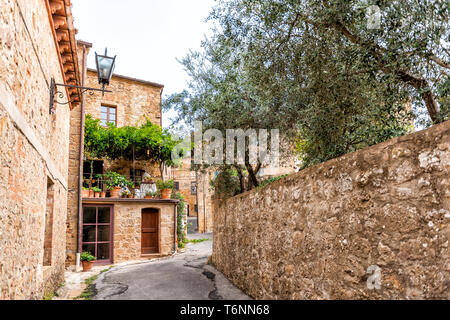 Monticchiello, Italie Val D'Orcia en Toscane avec la campagne vide street alley dans petite ville village avec jardin plantes vertes et personne ne Banque D'Images