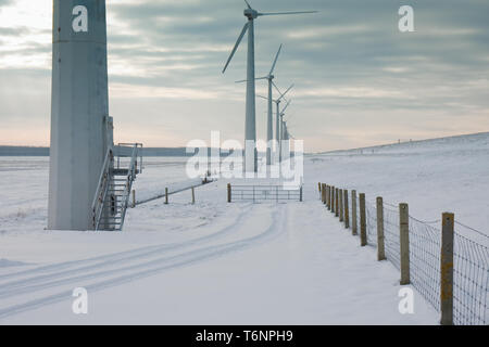 Les moulins à vent dans la neige en hiver, Néerlandais Banque D'Images