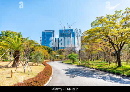 Tokyo, Japon - 1 Avril 2019 : Garden Route du parc avec vue sur les gratte-ciel chemin dans Imperial Palace pendant le printemps au centre-ville avec palmier et const Banque D'Images