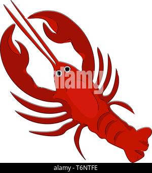 D'un clipart de homard de couleur rouge avec un corps cylindrique pétiolées yeux forte tenailles et quatre paires de pattes de couleur ou de dessin vectoriel illustr Illustration de Vecteur