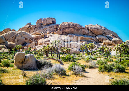 L'équilibre entre les roches du désert dans la région de Joshua National Park, Californie Banque D'Images