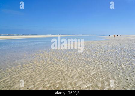 Plage de sable fin plage à marée basse avec ondes - ondulation de courant, ciel bleu, îles de la Frise orientale, Wangerooge, îles de la Frise orientale, mer du Nord Banque D'Images