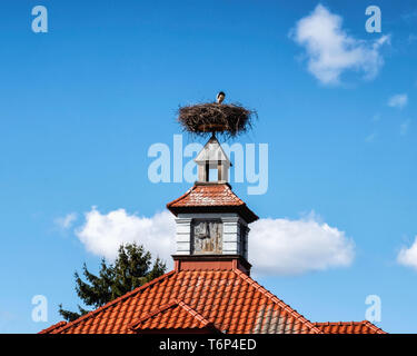 ,Stork Ciconia ciconia, assis dans leur nid sur tourelle d'horloge dans la maison Milmersdorf,Frankreich Banque D'Images
