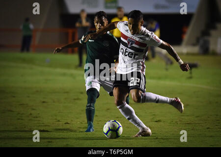 Rendez-vous - Goiania - 01/05/2019 - 2019, un Brésilien Goiás vs Sao Paulo - Goias player différend offre avec Sao Paulo dvd au cours de match au stade Serra Dourada pour le championnat brésilien UN 2019 Photo : André Borges / AGIF Banque D'Images