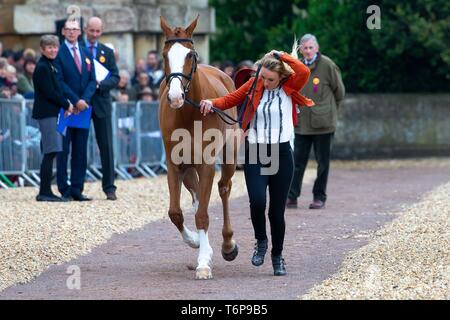 Badminton, Gloucestershire, Royaume-Uni. 09Th Mai, 2019. Emily King. GBR. Dargun. Y Monter. Hat tombe. Mitsubishi Motors Badminton Horse Trials. Grand Chelem Rolex. Horse Trials. Le concours complet. Le Badminton. Le Gloucestershire. United Kingdom. GBR. {01}/{05}/{2019}. Credit : Sport en images/Alamy Live News Banque D'Images