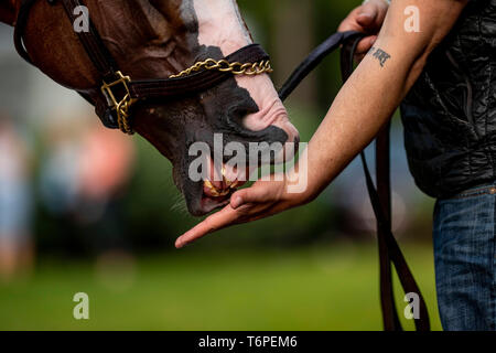 Louisville, Kentucky, USA. 2 mai, 2019. LOUISVILLE, Kentucky - 02 MAI : Instagrand à Churchill Downs à Louisville, Kentucky, le 01 mai 2019. Evers/Eclipse Sportswire/CSM/Alamy Live News Banque D'Images