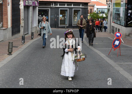 Colmernar Viejo, Madrid, Espagne. 2 mai, 2019. Une jeune fille Maya est vu marcher dans une rue au cours de la célébration traditionnelle de 'Las Mayas" à Colmenar Viejo.La fête des Mayas vient de rites païens et date du moyen âge, apparaissant dans les documents anciens. Il se déroule chaque année au début de mai et célèbre le début du printemps. Les jeunes filles entre 7 et 11 ans sont choisis comme 'Maya' et doit rester immobile, sérieuse et calme pour une couple d'heures dans les autels dans les rues décorées de fleurs et de plantes. Credit : Jorge Sanz SOPA/Images/ZUMA/Alamy Fil Live News Banque D'Images