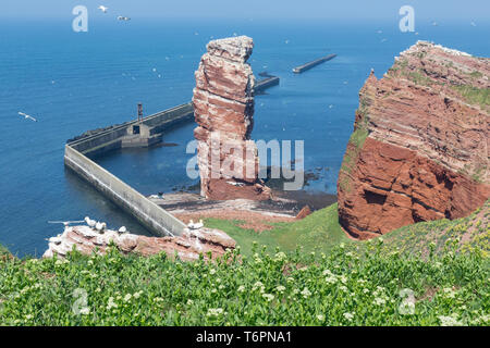 Cliff Lange Anna à pointe ouest de l'île allemande de Helgoland Banque D'Images