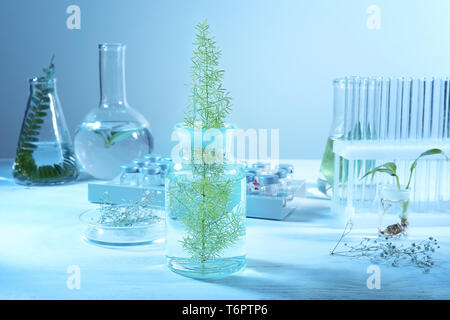 Verrerie de laboratoire différentes avec des plantes sur la table Banque D'Images Verrerie de laboratoire différentes avec des plantes sur la table Banque D'Images