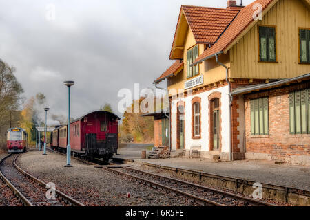 Fer Narrow-Gauge appelé Harzquerbahn, Selketal, Harz, Allemagne Banque D'Images