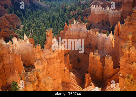 Vue sur le Parc National de Bryce Canyon, Utah, USA Banque D'Images