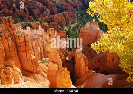 Vue sur le Parc National de Bryce Canyon, début de boucle Navajo trail avec des feuilles de bouleau jaune, automne, Utah, USA, Utah, USA Banque D'Images