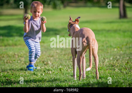 Garçon jouant avec un chien dans le parc Banque D'Images