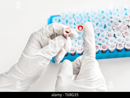 Lab worker holding test tube avec du sang, gros plan Banque D'Images