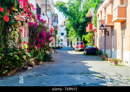 Allée couverte de Regina, quartier typique de la zone coloniale de Saint-Domingue, décorées de fleurs de violette trinitarias. Banque D'Images