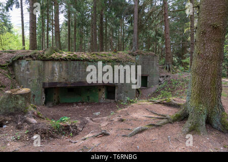 La ligne Siegfried intacts bunker de la Seconde Guerre mondiale, région de l'Eifel, Allemagne Banque D'Images