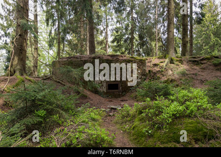 La ligne Siegfried intacts bunker de la Seconde Guerre mondiale, région de l'Eifel, Allemagne Banque D'Images