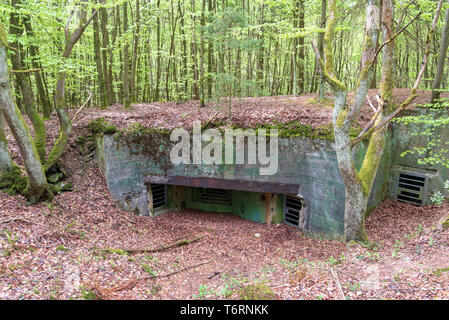 La ligne Siegfried intacts bunker de la Seconde Guerre mondiale, région de l'Eifel, Allemagne Banque D'Images