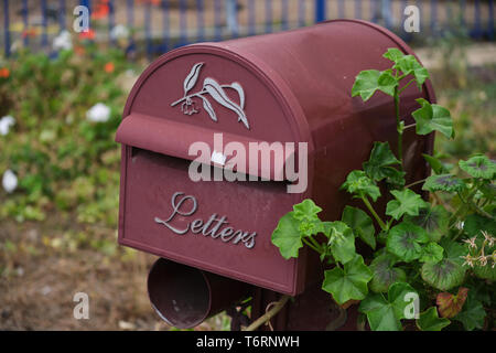 Purple case courrier / lettre case marquée avec les 'Lettres' à l'avant avec des feuilles vertes en premier plan et buissons à fleurs en arrière-plan Banque D'Images