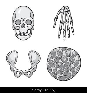 Crâne,poignet,ostéoporose de la hanche,la mort,main,,joints,cell,santé,tête fémur,ossature,eye,xray,le calcium,appareil locomoteur,l'enfer,panneaux,joints,system,dommage,les dents,tendon,chirurgie,monster,bassin,le mal,tissu conjonctif,biologie,médical,os,,squelette anatomie,des,organes,médecine,clinique,,set,icône,,illustration,collection,isolé,design,graphisme,élément signe,gris,noir,vecteurs vecteur , Illustration de Vecteur