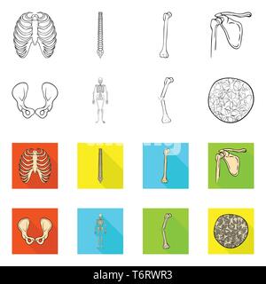 Nervure, colonne vertébrale, hanche fémur,,appareil locomoteur Fracture,,ostéoporose,,cage brisée,chiropratique,bassin,joints,scientifique,la douleur,cell,xray,ossature,péroné,tissu,biais,squelettique,body,moelle,shin,chirurgie pelvienne,dommage,conjonctif,tibia,en bonne santé,médecine,clinique,biologie,médical,os,,squelette anatomie,des,organes,,set,icône,,illustration,collection,isolé,design,graphisme,élément vecteur vecteurs,signer , Illustration de Vecteur