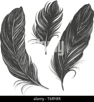 Jeu de plumes noires hand drawn vector illustration croquis réalistes Illustration de Vecteur