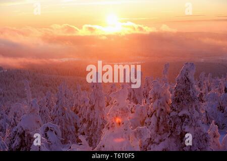 Vue depuis la montagne Brocken sur un paysage d'hiver profondément recouverte de neige, coucher de soleil, Saxe-Anhalt, Allemagne Banque D'Images