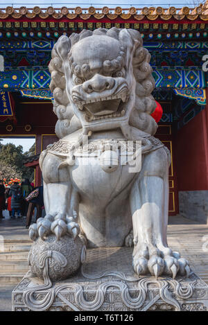 Statue de lion mâle Guradian devant l'entrée du Parc Jingshan à Beijing, Chine Banque D'Images