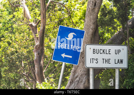 Évacuation d'ouragan bleu abri sign on road et de la ceinture de sécurité ceinture de sécurité c'est la loi du texte avec le sens de la flèche de Naples, en Floride pendant la journée Banque D'Images