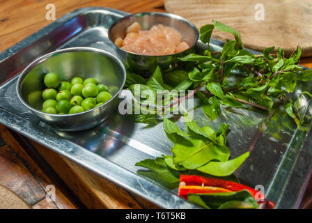 Thai cuisine - ingrédients de cuisine thai basil, feuilles de curry, piment, viande de poulet et de pois pour un curry d'aubergine Banque D'Images
