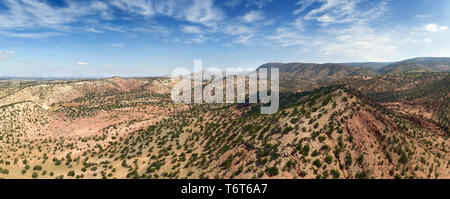 Des montagnes avec des arganiers au Maroc Banque D'Images