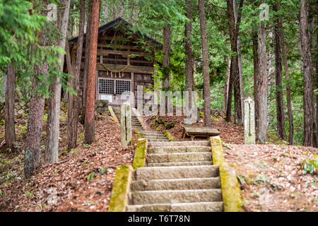 Escaliers menant au sanctuaire en bois de shinto Takumi dans la forêt dans le vieux village folklorique de Takayama Hida no Sato avec pierre et mousse à Gifu, Japon Banque D'Images